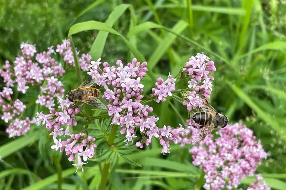 北京去门头沟百花山旅游包车带司机一天多少钱？