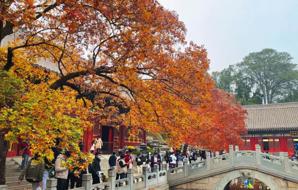 北京去香山公园包车一天多少钱？