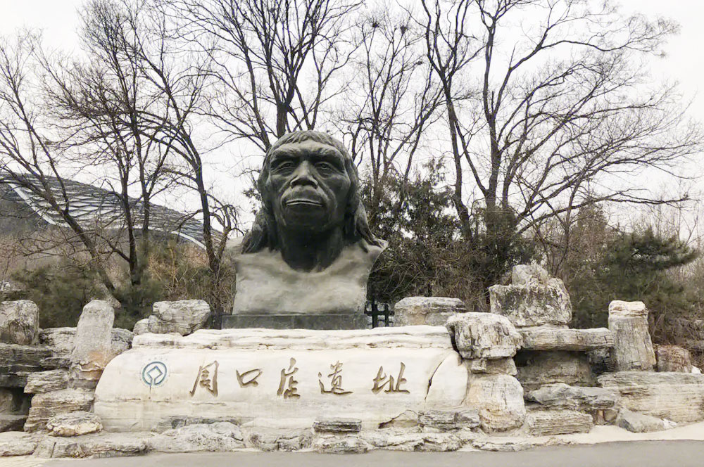 北京去房山周口店遗址旅游包车带司机多少钱一天？