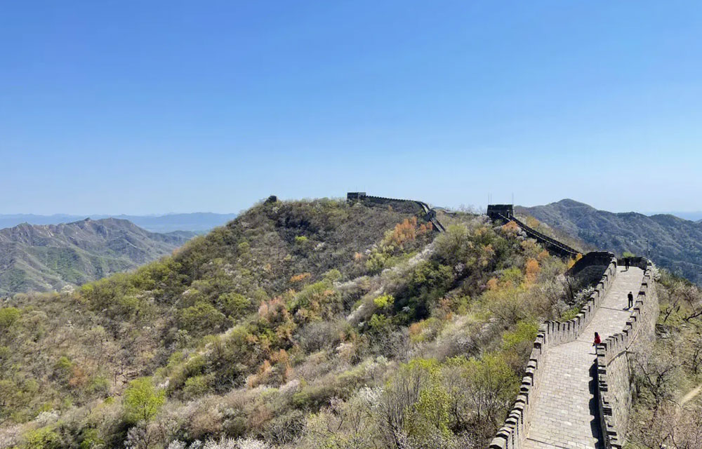 北京去慕田峪长城包车一天多少钱？