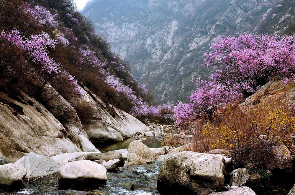 北京去密云桃源仙谷风景区旅游包车带司机多少钱一天？