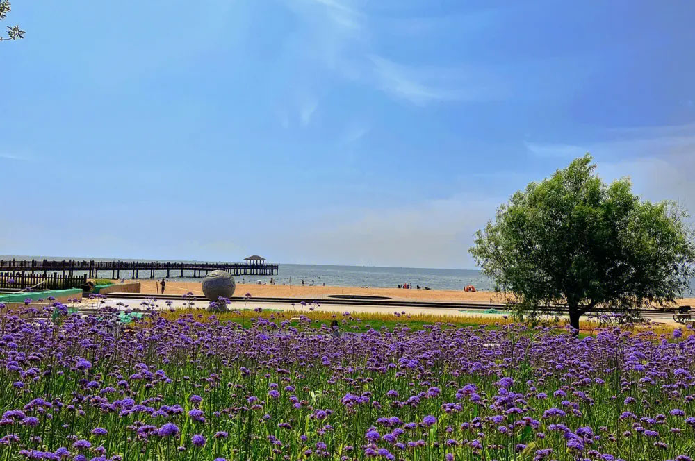 北京去北戴河包车2天多少钱?