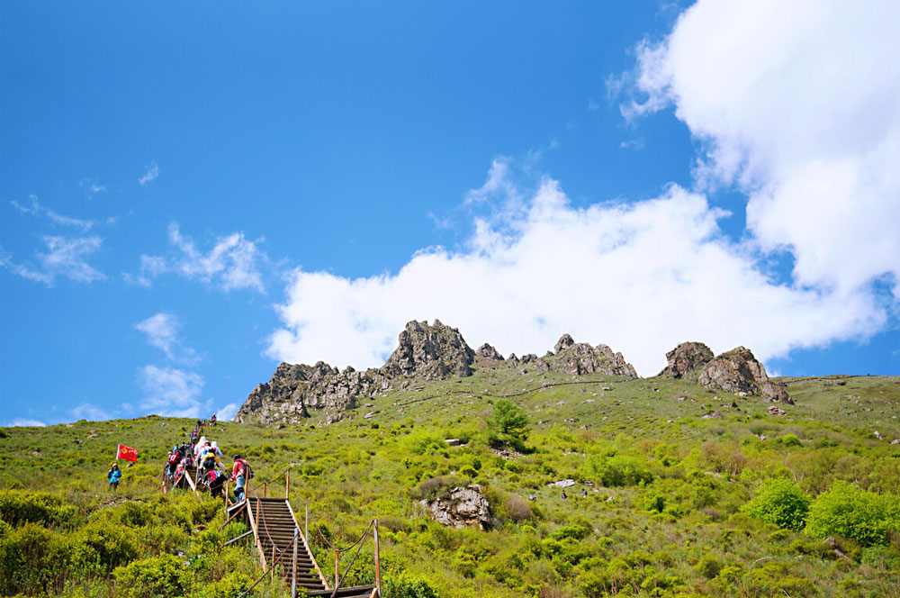 北京去灵山旅游包车一天多少钱？