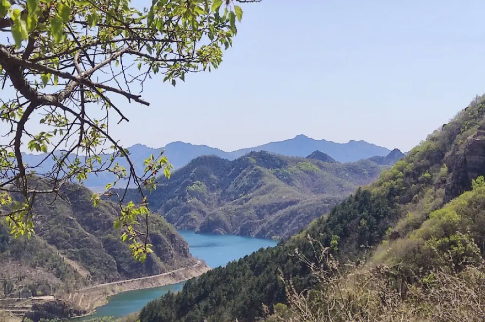北京去平谷京东石林峡旅游包车带司机一天多少钱？