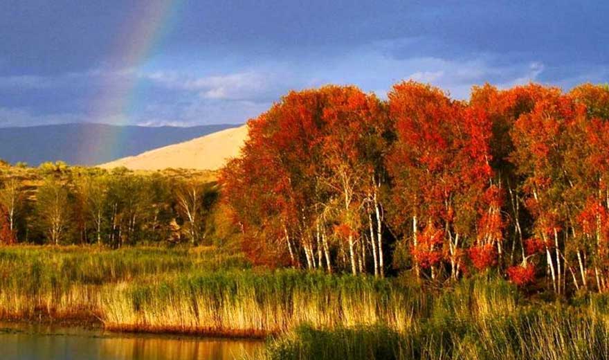 秋季旅游包车万亩红桦林旅游攻略