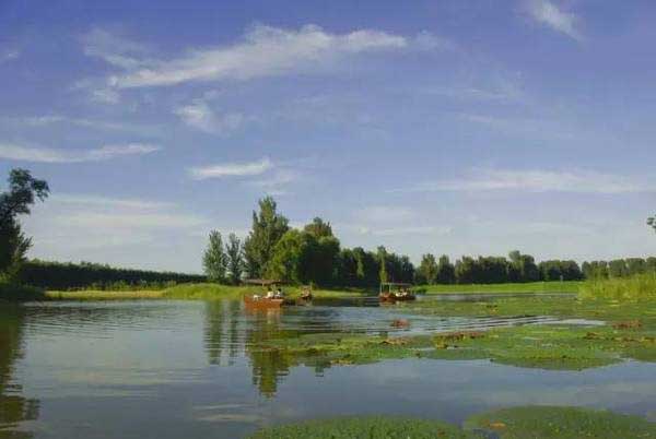 北京大巴包车去顺义汉石桥湿地公园多少钱？