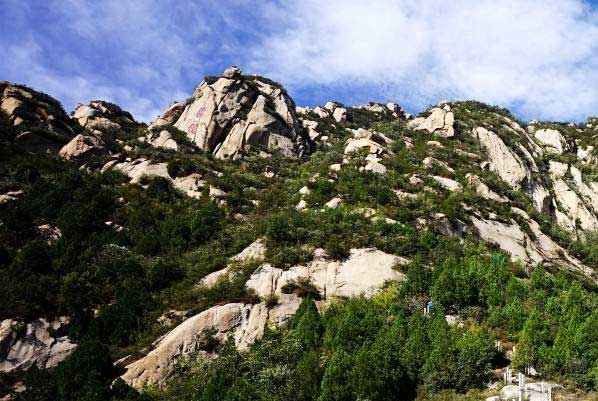 凤凰岭包车带司机价格,北京到凤凰岭大巴包车带司机多少钱一天