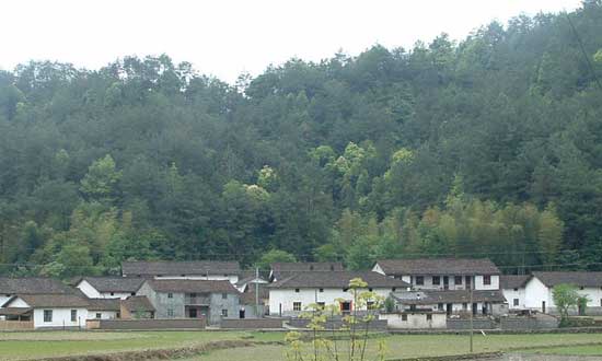 北京到清凉山包车带司机费用,北京租车到清凉山51座大巴带司机多少钱?