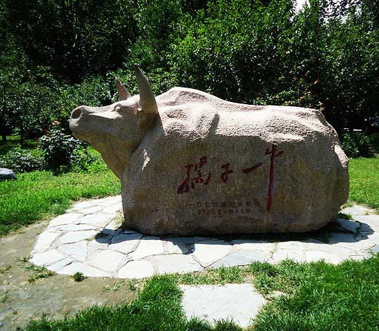 清华大学租车,北京市内35座大巴包车到清华大学接送费用