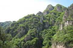 北京到昌平沟崖自然风景区55座大巴租车带司机接送多少钱一天？