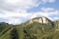 北京租车到昌平双龙山森林公园55座商务旅游大巴租车带司机接送一天多少钱