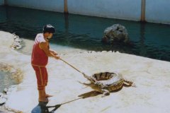 北京租车到昌平鳄鱼湖公园55座商务旅游大巴租车带司机接送一天多少钱