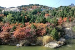 北京租车到昌平白虎涧55座商务旅游大巴租车带司机接送一天多少钱