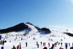 北京租车到昌平军都山滑雪场55座商务旅游大巴租车带司机接送一天多少钱