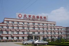 顺义租车55座商务旅游大巴租车带司机接送一天多少钱？