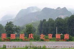 延庆租车55座商务旅游大巴租车带司机接送一天多少钱？