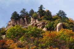 北京租车到怀柔五龙潭原始森林景区商务旅游大巴租车带司机接送一天多少钱