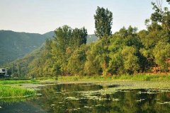 北京租车到怀柔三渡河商务旅游大巴租车带司机接送一天多少钱