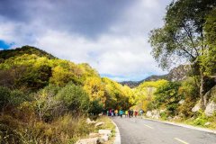 北京租车到怀柔喇叭沟原始森林公园商务旅游大巴租车带司机接送一天多少钱