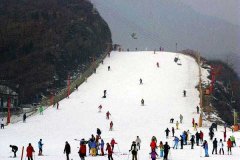 北京租车到怀柔怀北滑雪场商务旅游大巴租车带司机接送一天多少钱