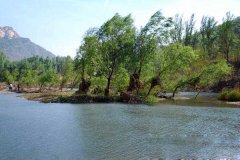 北京租车到密云白云峡风景区商务旅游大巴租车带司机接送一天多少钱