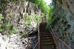 北京租车到密云雾灵西峰旅游风景区商务旅游大巴租车带司机接送一天多少钱？