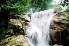 北京租车到密云云龙涧商务旅游大巴租车带司机接送一天多少钱？