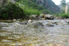 北京租车到密云白河户外运动综合培训基地商务旅游大巴租车带司机接送一天多少钱？