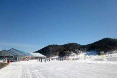 北京租车到密云云佛山滑雪场商务旅游大巴租车带司机接送一天多少钱？