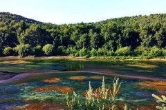 北京租车去塞罕坝接送价格一天多少钱?大巴包车带司机多少钱一天?