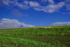 北京租车去张北草原接送价格一天多少钱?大巴包车带司机多少钱一天?