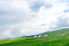 北京租车去丰宁坝上草原接送价格一天多少钱?大巴包车带司机多少钱一天?