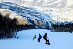 北京租车去崇礼接送价格一天多少钱?大巴包车带司机多少钱一天?