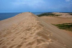 北京租车去翡翠岛接送价格一天多少钱?大巴包车带司机多少钱一天?