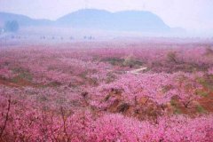 北京去平谷租车价格多少钱一天？大巴带司机包车一天多少钱？