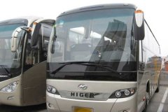 租大巴车49座要多少钱？配司机多少钱一天？