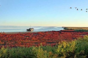北京一日游包车价格表,带司机北京旅游租车一日游多少钱？