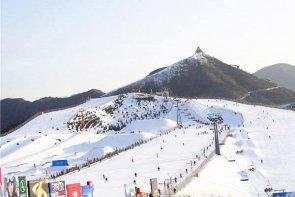 租大巴考斯特去莲花山滑雪场租车多少钱？带司机接送价格