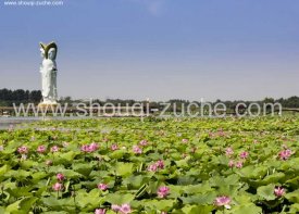 北京租19座考斯特去白洋淀包旅游大巴2天多少钱？