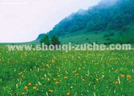 延庆青龙峡包车，北京带司机去延庆包车一天多少钱？