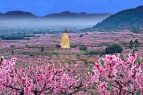 北京包车去平谷桃花节包车、京东大溶洞一日游费用