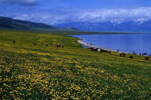 春季包车错峰出游，首联租车为您出行保驾护航