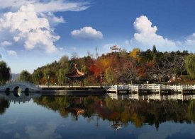 周末包车去平谷赏桃花怎么样？